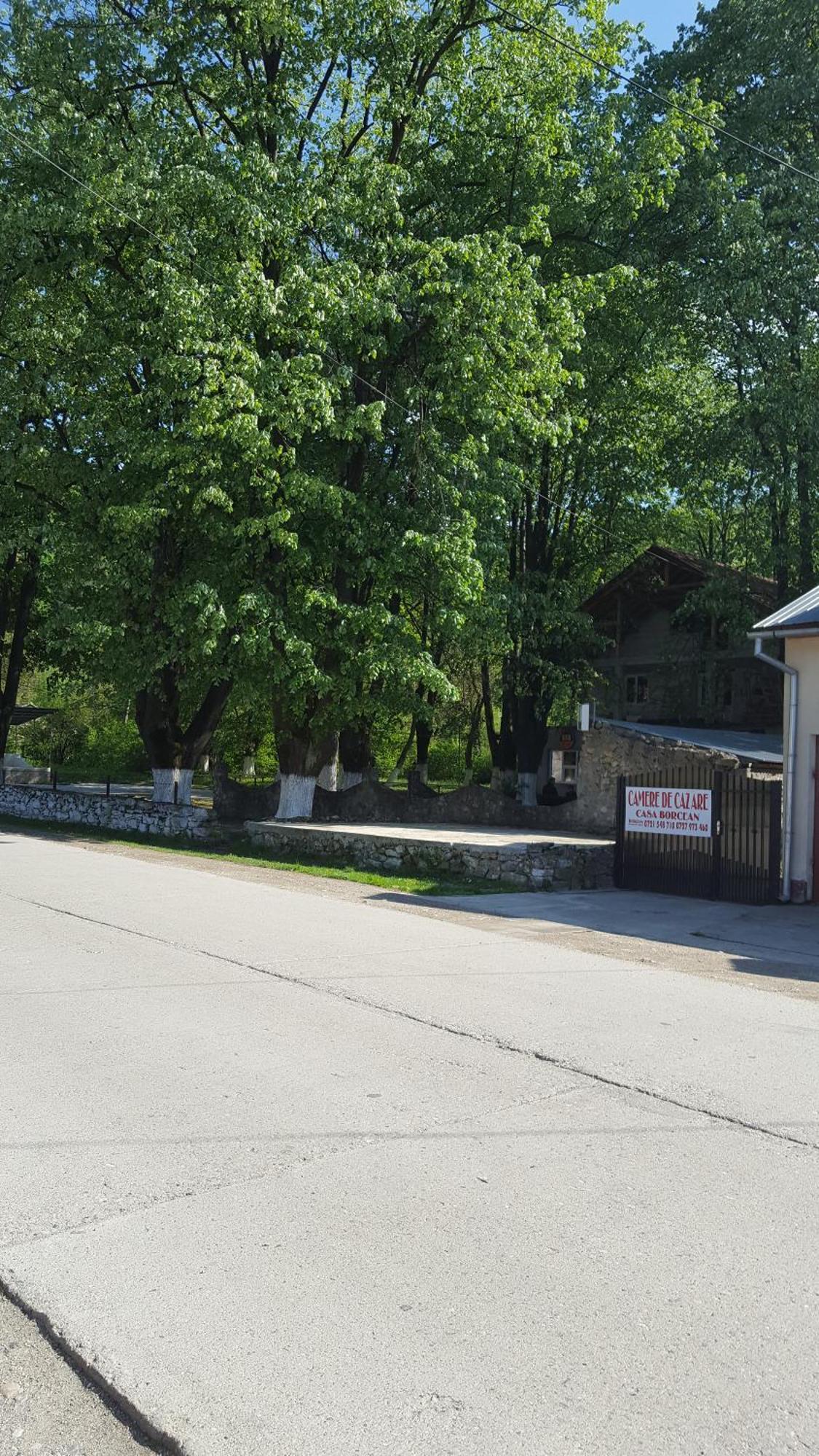 Casa Borcean Villa Sasca Montană Exteriör bild